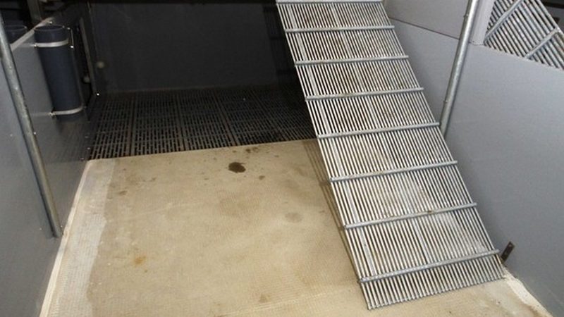 直播电商违规扣分规则全解析：规避风险，提升流量