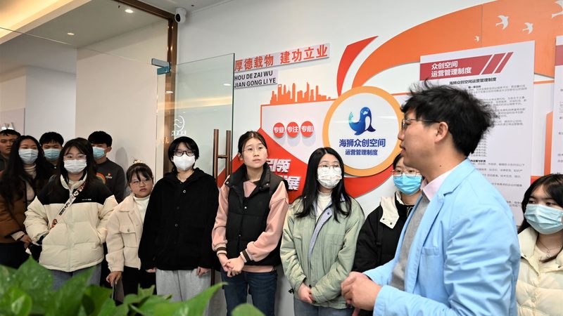 直播带货平台代理价格，揭秘电商新趋势下的盈利密码